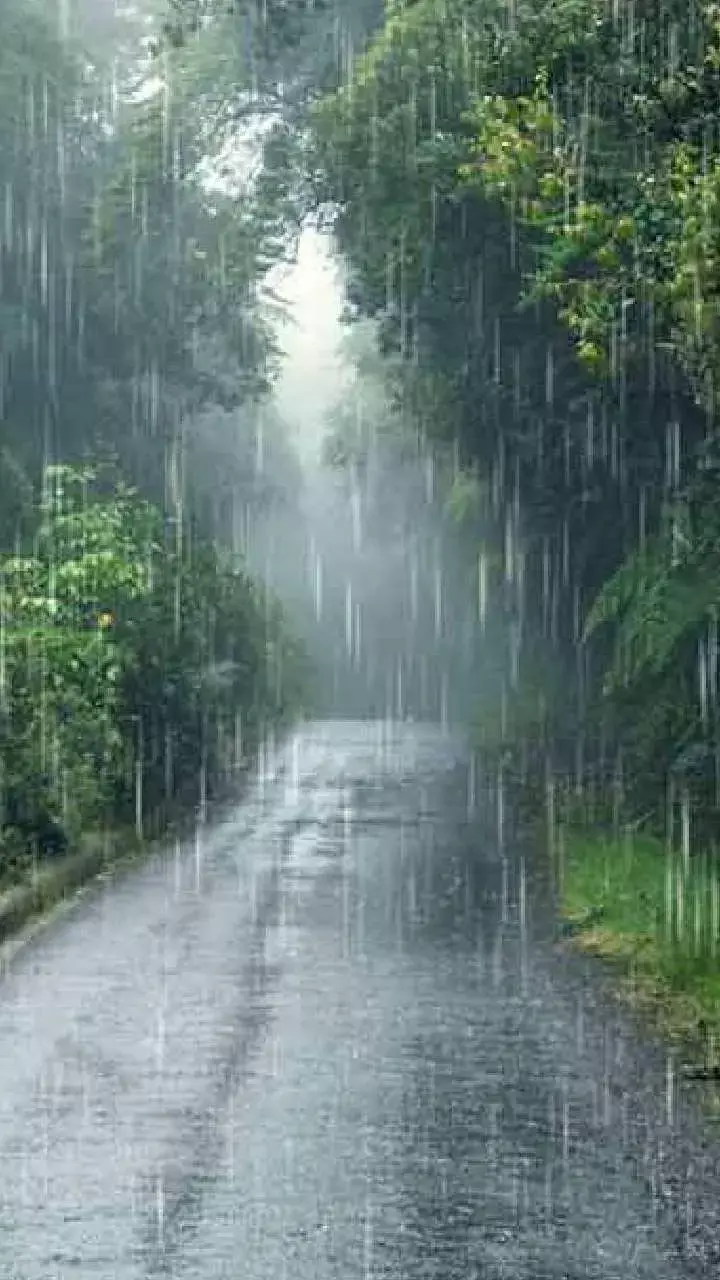 CG Weather Update: छत्तीसगढ़  में फिर एक्टिव हुआ मानसून, इन जिलों में जारी किया गया अलर्ट