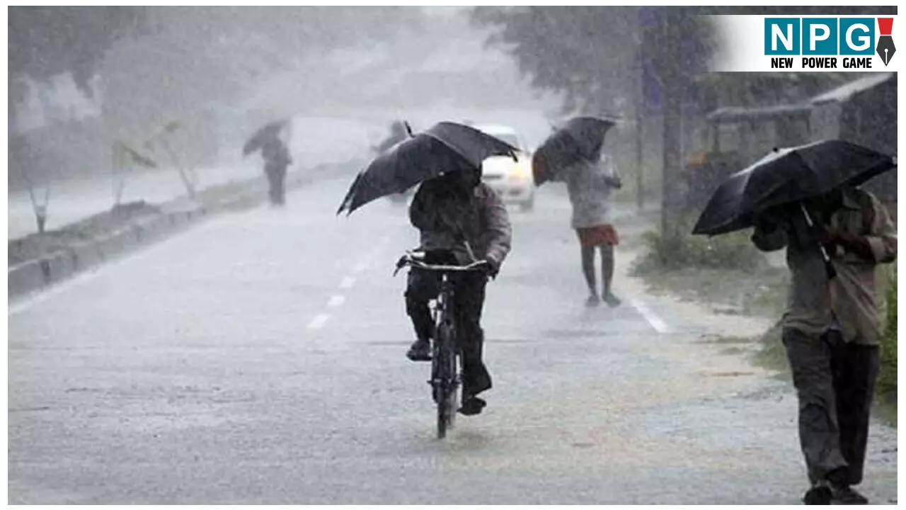 छत्तीसगढ़ में अब तक 658.6 मिमी बारिश, बलरामपुर में सबसे ज्यादा और बेमेतरा में सबसे कम — जानें अपने जिले का हाल