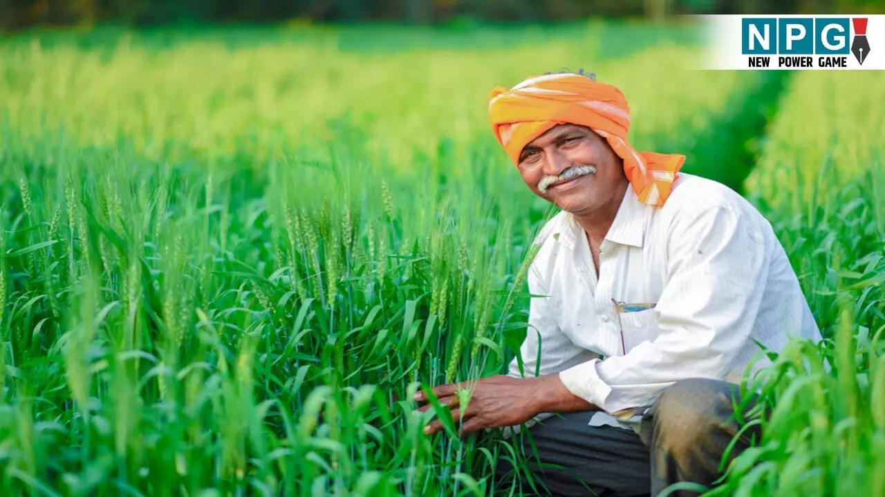 Pradhan Mantri Fasal Bima Yojana: छत्तीसगढ़ के किसानों के खाते में आज आएंगे ₹152.84 करोड़