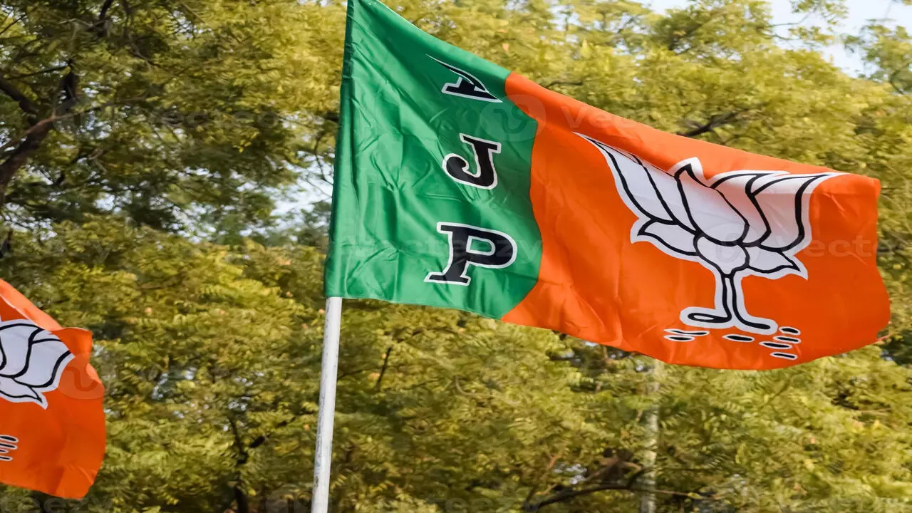 CG News: BJP की कार्यकारिणी में होंगे चौंकाने वाले नाम! 10 अगस्त का टाइमलाइन खत्म, सिफारिशी नामों से लिस्ट अटकी