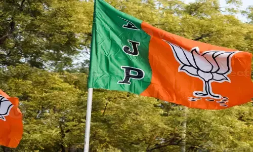 CG News: BJP की कार्यकारिणी में होंगे चौंकाने वाले नाम! 10 अगस्त का टाइमलाइन खत्म, सिफारिशी नामों से लिस्ट अटकी