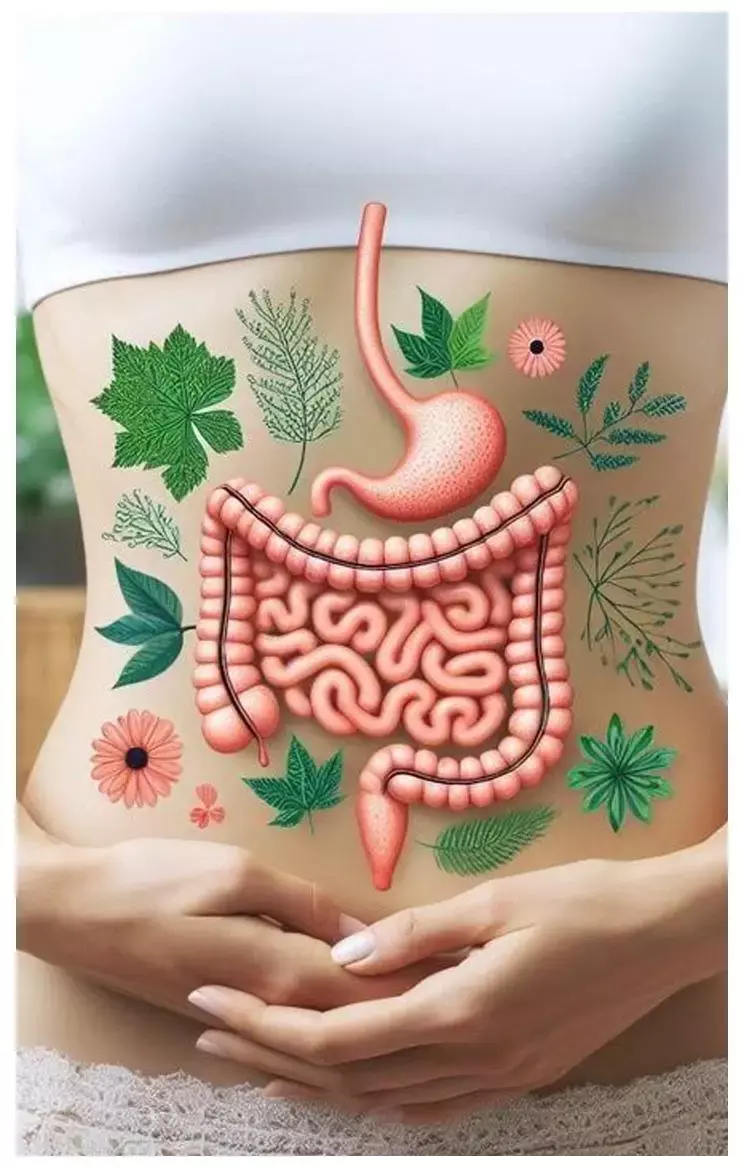 Best Morning Gut Health: सुबह अच्छी गट हेल्थ के लिए इन आदतों को करें शामिल, जानिए क्या होगा फायदा...