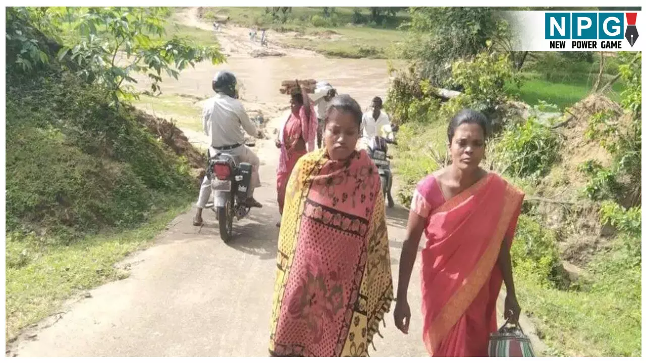 CG News: सड़क का आभाव! जान जोखिम में डालकर एंबुलेंस तक पहुंची गर्भवती महिला