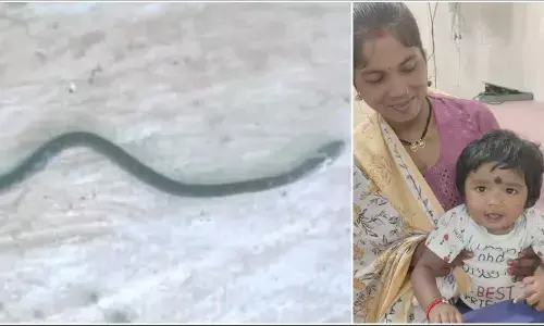 CG News: छत्तीसगढ़ में चमत्कार! 9 महीने की बच्ची ने जहरीले सांप को दांतों से काटा, सांप की मौत – गांव वाले बोले नन्ही शेरनी