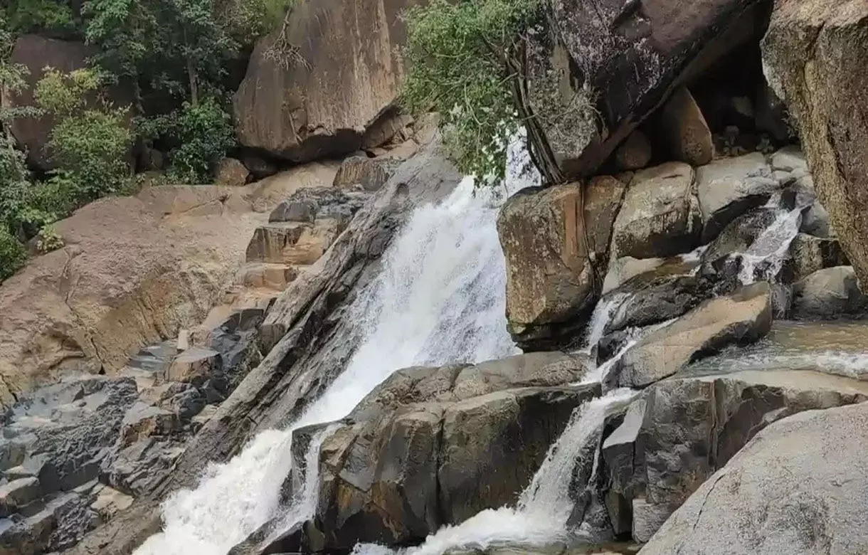 Kanker News: जलप्रपात की उंचाई से गिरने से युवक की मौत, रायपुर से युवओं का ग्रुप पहुंचा था पिकनिक मनाने