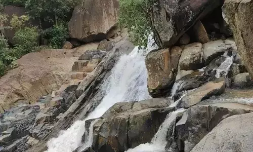 Kanker News: जलप्रपात की उंचाई से गिरने से युवक की मौत, रायपुर से युवओं का ग्रुप पहुंचा था पिकनिक मनाने