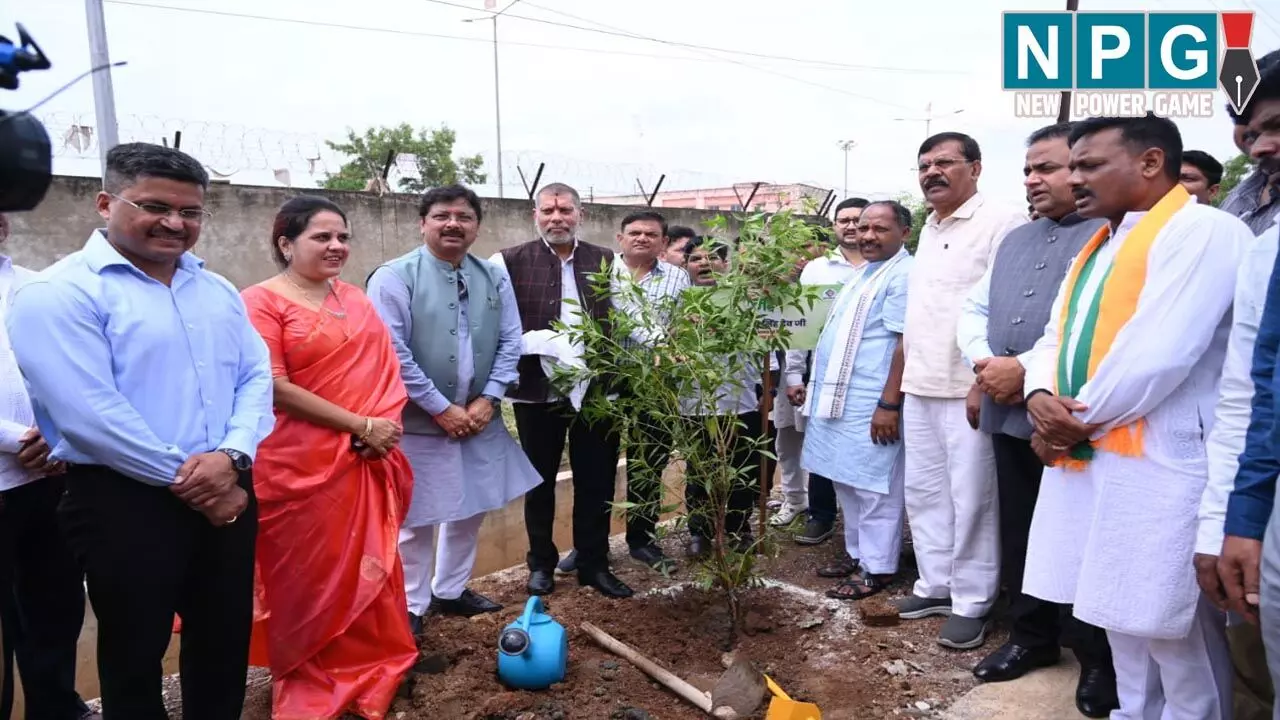 CG News: ‘‘छत्तीसगढ़ गृह निर्माण मण्डल द्वारा निर्मित व्यावसायिक परिसर फेस-2 में ‘‘एक पेड़ मां के नाम’ अंतर्गत वृहद वृक्षा-रोपण कार्यक्रम CG News: ‘‘छत्तीसगढ़ गृह निर्माण मण्डल द्वारा निर्मित व्यावसायिक परिसर फेस-2 में ‘‘एक पेड़ मां के नाम’ अंतर्गत वृहद वृक्षा-रोपण कार्यक्रम