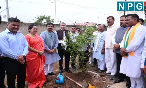 CG News: ‘‘छत्तीसगढ़ गृह निर्माण मण्डल द्वारा निर्मित व्यावसायिक परिसर फेस-2  में ‘‘एक पेड़ मां के नाम’ अंतर्गत वृहद वृक्षा-रोपण कार्यक्रम