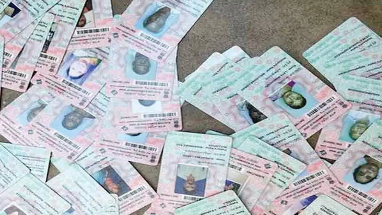 MP Voter ID Card News: केंद्रीय मंत्री के बंगले के पास कैसे पहुंची वोटर आईडी कार्ड? कई कार्ड्स जली हालत में मिले, कलेक्टर ने दिए जांच के आदेश