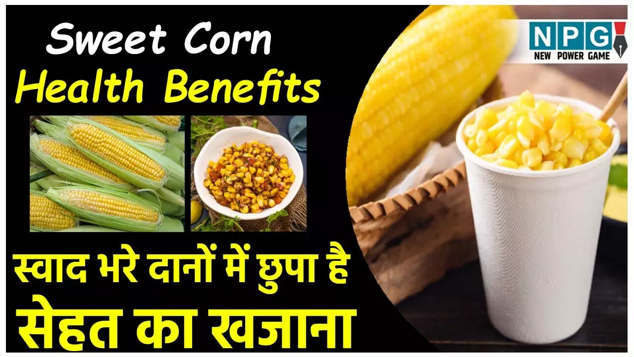 Sweet Corn Benefits: स्वीट काॅर्न के स्वाद भरे दानों में छुपा है सेहत का खजाना, पढ़िए इसके दिल खुश करने वाले स्वास्थ्य लाभ...