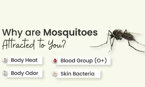 World Mosquito Day 2025 : अरे यार ये मच्छर मुझे ही क्यों काटते हैं... तो आइये फिर जानिए, यहाँ है सब कुछ