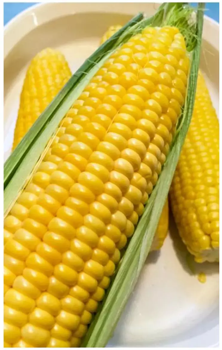 Sweet Corn Ke Fayde: सेहत के लिए बेहद फायदेमंद है स्वीट काॅर्न, जानिए फायदे...