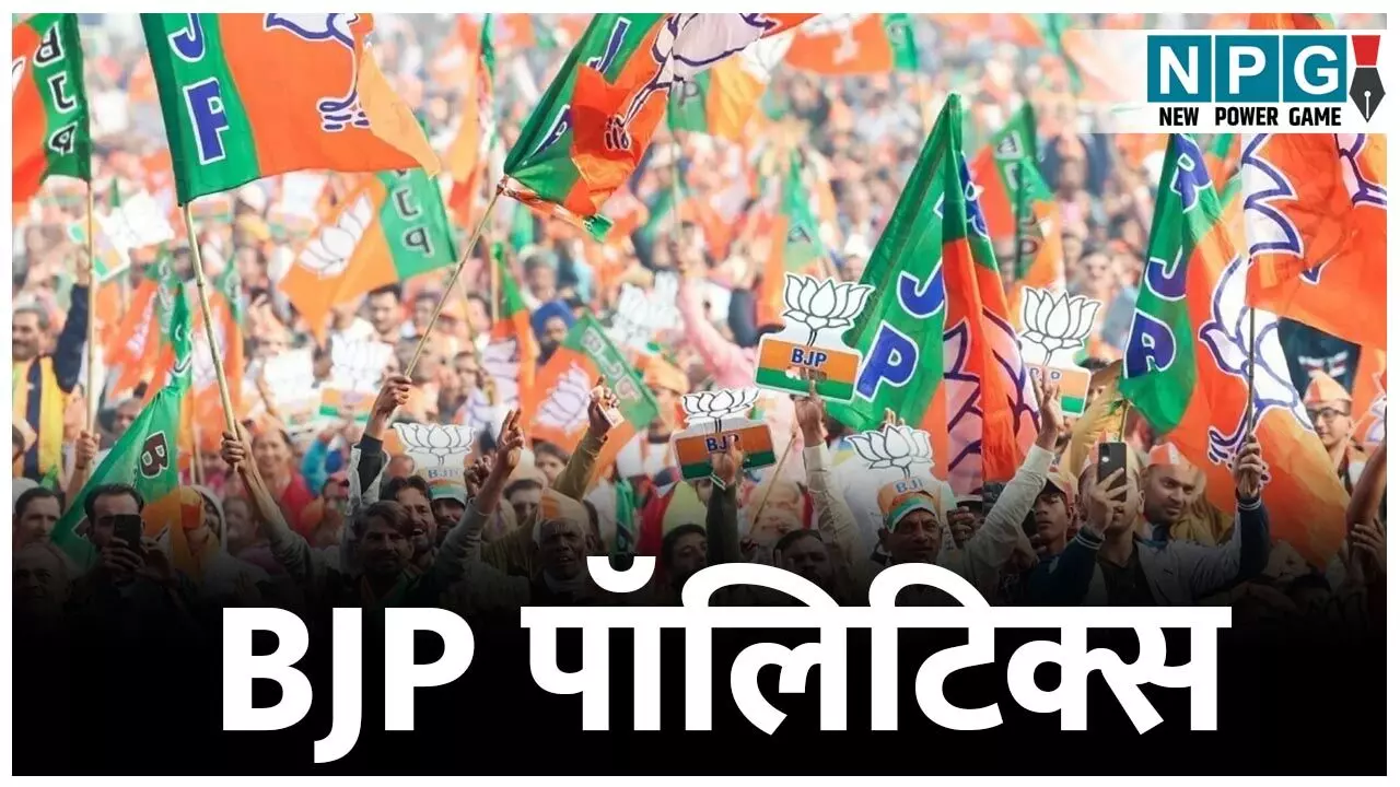 CG BJP Politics: भाजपा कहीं क्षेत्रीय असंतुलन की ओर तो नहीं? जिन विधानसभा क्षेत्रों में हारी, वहां बोर्ड, निगम से लेकर मंत्रिमंडल में प्रतिनिधित्व नहीं...