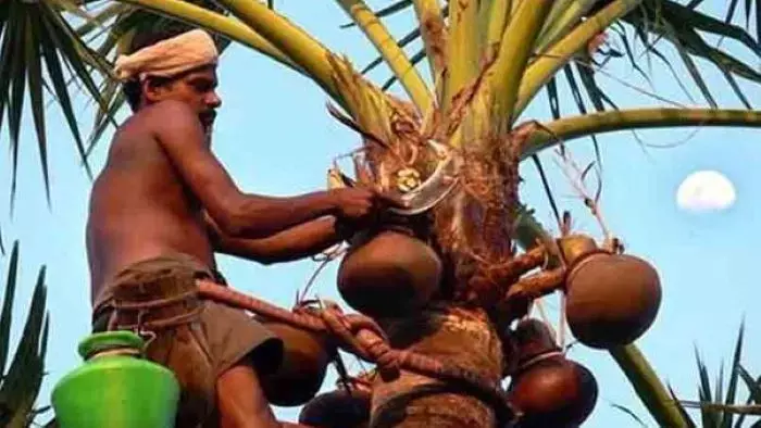 बस्तर बीयर एक बार अगर चख लिया तो ताउम्र नहीं भूल पाओगे स्वाद ... फायदें भी कर देंगे हैरान