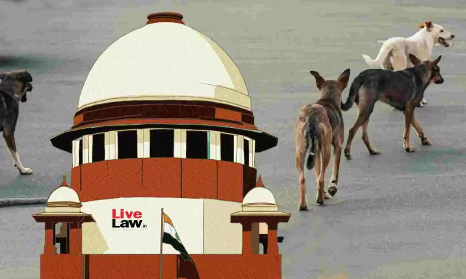 Supreme Court Decision For Dogs : कहा - पकड़े गए आवारा कुत्तों को नसबंदी और टीकाकरण के बाद छोड़ दिया जाए... करीब 8 लाख से ज्यादा आवारा कुत्ते, नसबंदी में 2400 करोड़ रुपये खर्च, क्या इतना आसान है