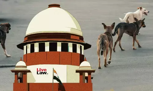 Supreme Court Decision For Dogs : कहा - पकड़े गए आवारा कुत्तों को नसबंदी और टीकाकरण के बाद छोड़ दिया जाए... करीब 8 लाख से ज्यादा आवारा कुत्ते, नसबंदी में 2400 करोड़ रुपये खर्च, क्या इतना आसान है