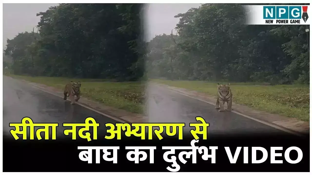 Sitanadi Sanctuary Viral Video: दुगली-नगरी मार्ग... ... CG Top News 23 August: छत्तीसगढ़ की ताज़ा खबरें, टॉप CG News, राजनीति से अपराध तक, पढ़ें छत्तीसगढ़ की हर बड़ी खबर