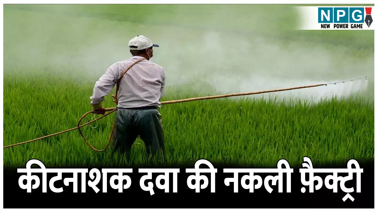 CG News: छत्तीसगढ़ में कीटनाशक दवा की नकली फ़ैक्ट्री: पुलिस ने किया भांडाफोड़ CG News: छत्तीसगढ़ में कीटनाशक दवा की नकली फ़ैक्ट्री: पुलिस ने किया भांडाफोड़