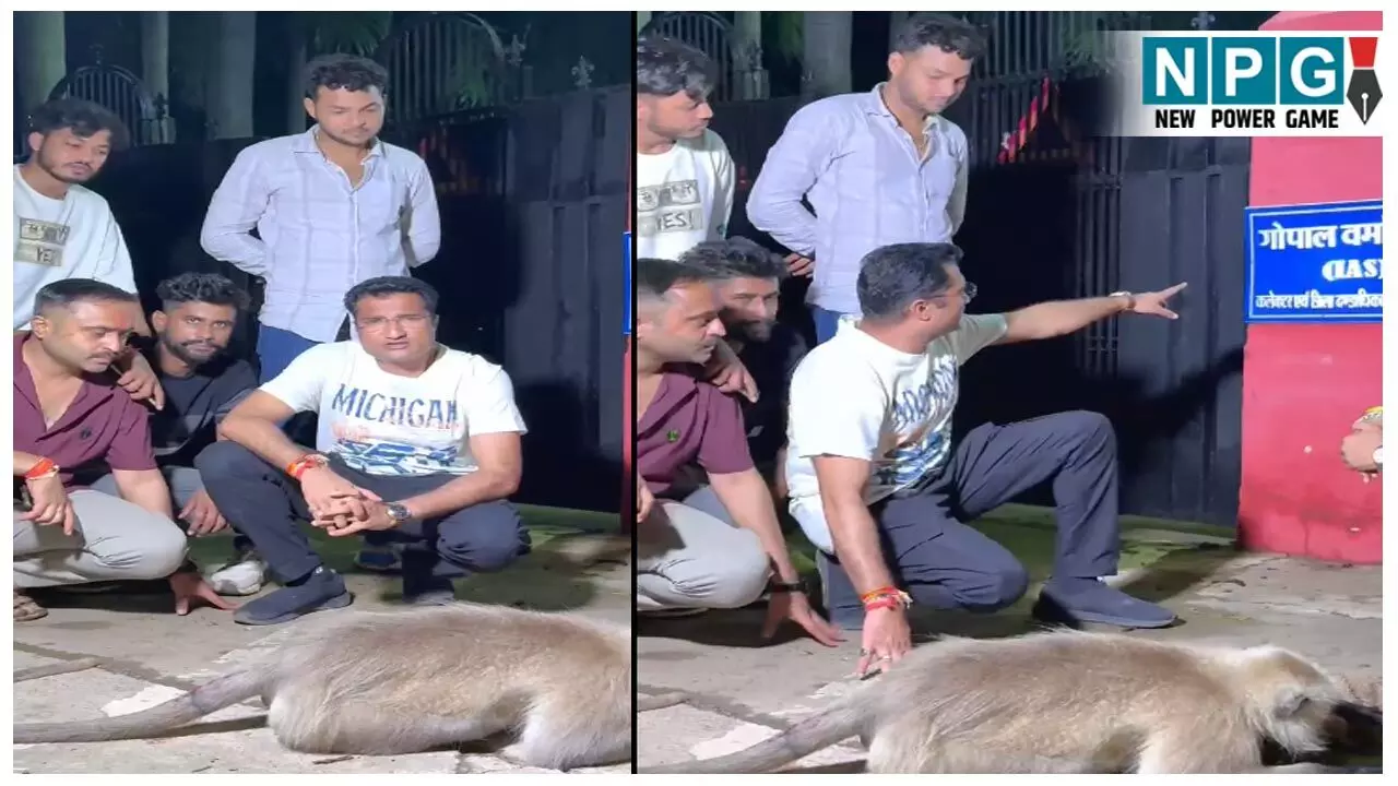 Chhattisgarh News: कबूतर के बाद अब बंदर पर कलेक्टर-एसपी में टकराव! आधी रात को कलेक्टर बंगला घेराव करने पर कलेक्टर ने SP को लिखा पत्र...