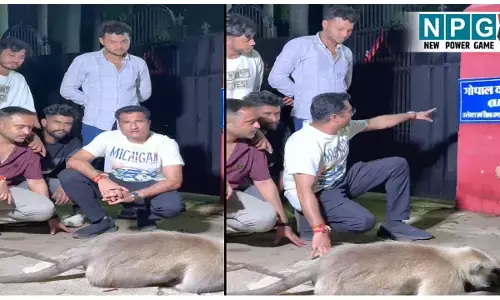 Chhattisgarh News: कबूतर के बाद अब बंदर पर कलेक्टर-एसपी में टकराव! आधी रात को कलेक्टर बंगला घेराव करने पर कलेक्टर ने SP को लिखा पत्र...