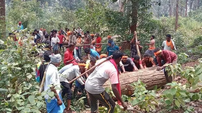 बस्तर दशहरा 2025 : तिरिया पंचायत ने लकड़ी देने से किया मना, अब कैसे बनेगा रथ... सांसद महेश कश्यप ने क्या कहा जानिये