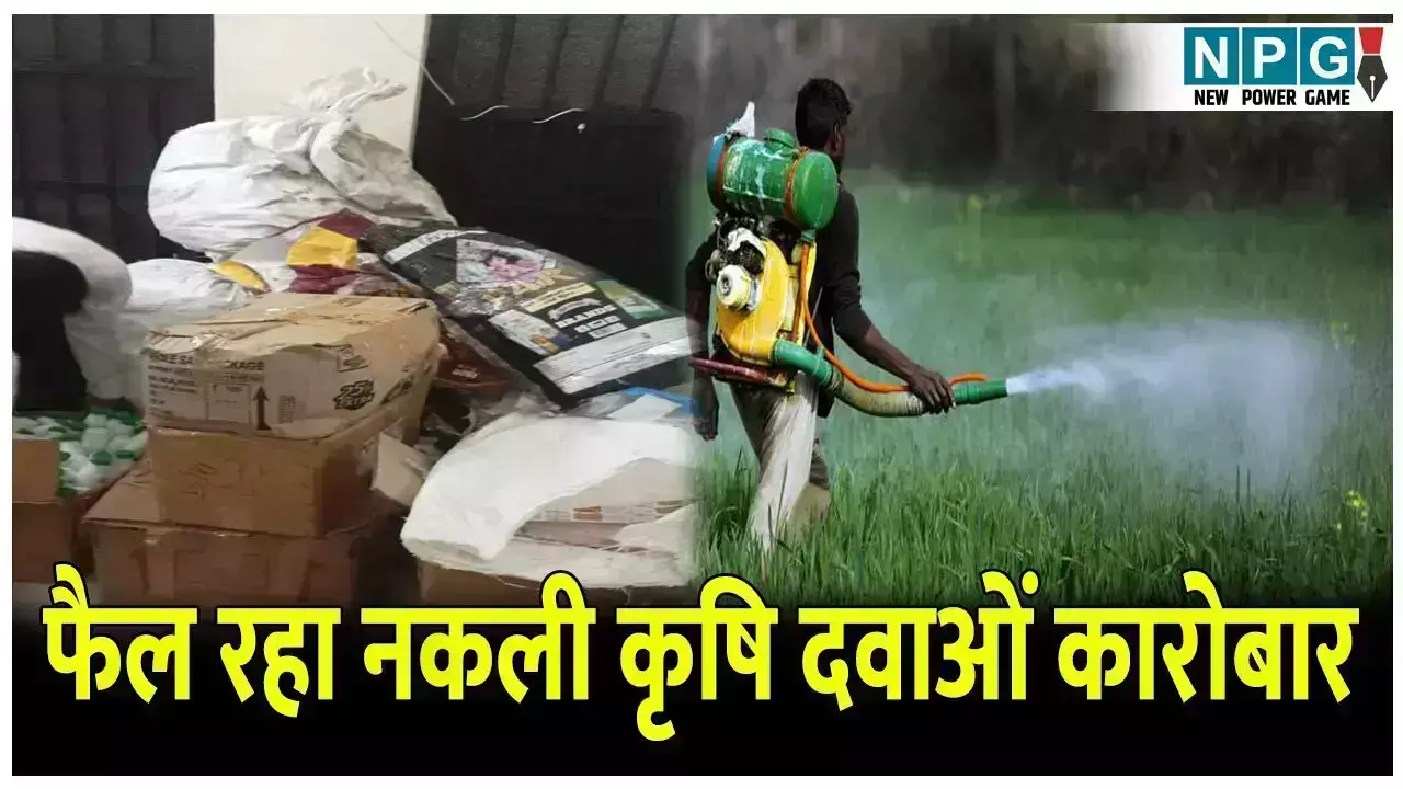 CG News: छत्तीसगढ़ में फैल रहा नकली कृषि दवाओं... ... CG Top News 26 August: छत्तीसगढ़ की ताज़ा खबरें, टॉप CG News, राजनीति से अपराध तक, पढ़ें छत्तीसगढ़ की हर बड़ी खबर