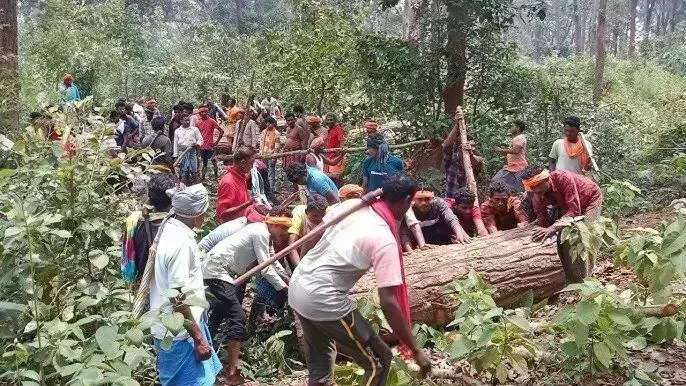 बस्तर दशहरा 2025 : तिरिया पंचायत ने लकड़ी देने से... ... CG Top News 26 August: छत्तीसगढ़ की ताज़ा खबरें, टॉप CG News, राजनीति से अपराध तक, पढ़ें छत्तीसगढ़ की हर बड़ी खबर