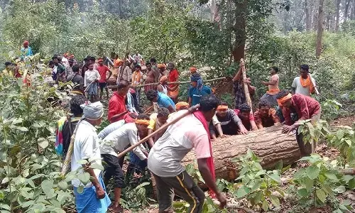 बस्तर दशहरा 2025 : तिरिया पंचायत ने लकड़ी देने से किया मना, अब कैसे बनेगा रथ... सांसद महेश कश्यप ने क्या कहा जानिये