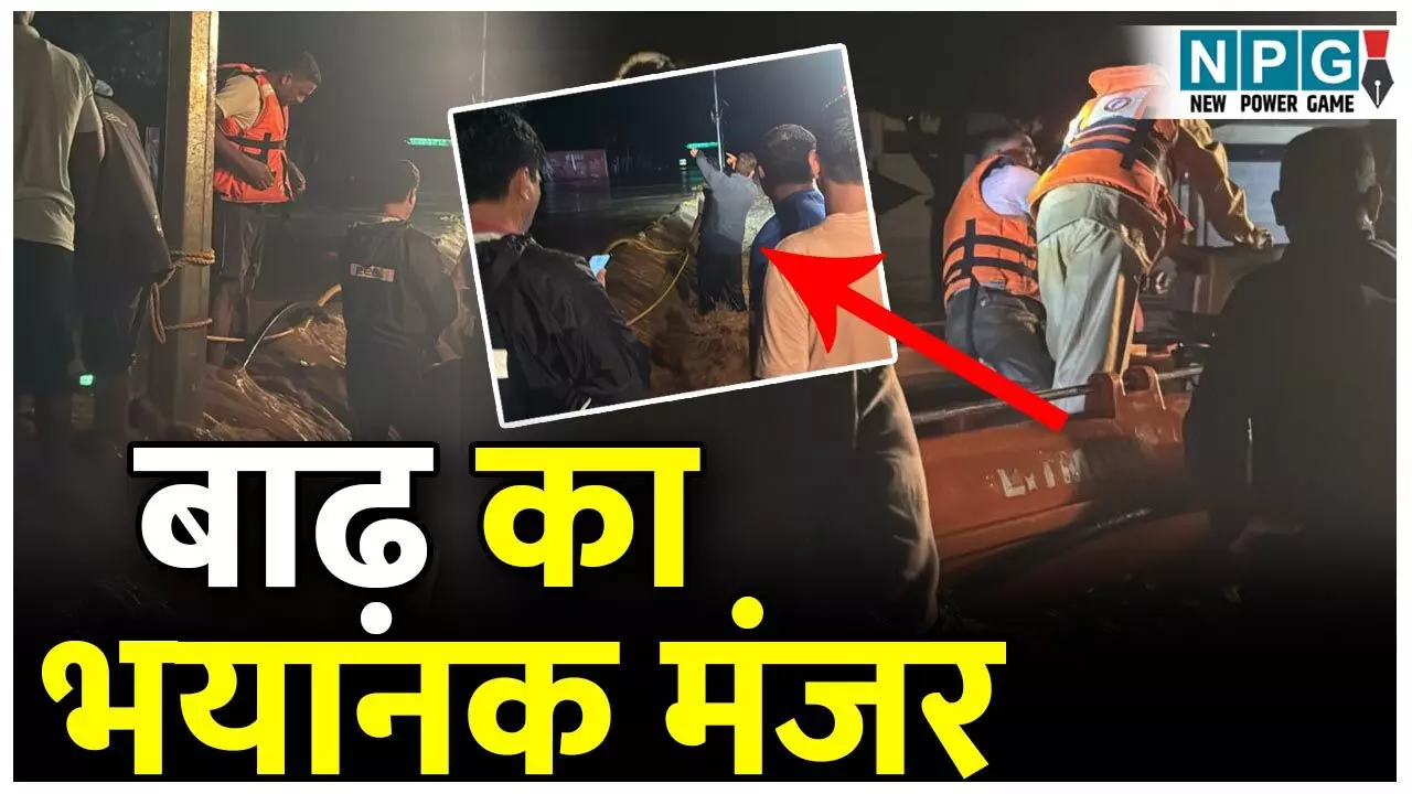 Dantewada Flood: दंतेवाड़ा में बाढ़ का भयानक मंजर, फर्स्ट फ्लोर तक पानी भर गया, आधी रात 109 लोगों का किया गया रेस्क्यू, खबर इसलिए नहीं बनी सुर्खिया... Dantewada Flood: दंतेवाड़ा में बाढ़ का भयानक मंजर, फर्स्ट फ्लोर तक पानी भर गया, आधी रात 109 लोगों का किया गया रेस्क्यू, खबर इसलिए नहीं बनी सुर्खिया...