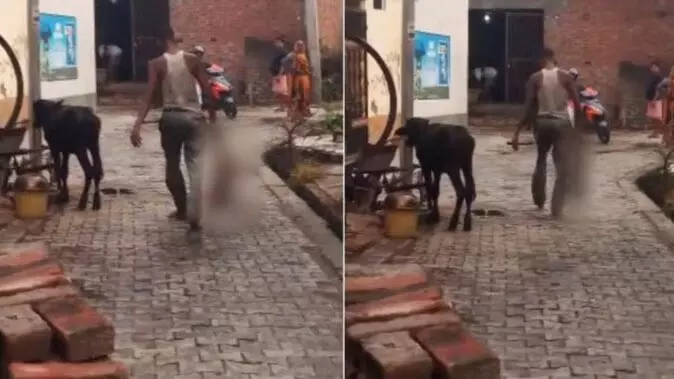 UP News : पिता का रिश्ता हुआ शर्मसार... की ऐसी हरकत की मौत के गाल में समा गया दुधमुंहा