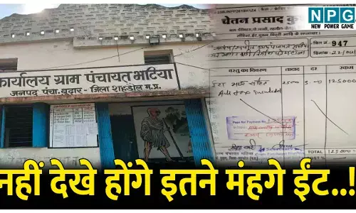 MP News: लाखों रुपये का ईंट..!इस ईंटे की किमत जानकर हो जाएंगे हैरान, जानिए क्या है पूरा मामला