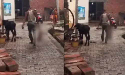 UP News : पिता का रिश्ता हुआ शर्मसार... की ऐसी हरकत की मौत के गाल में समा गया दुधमुंहा