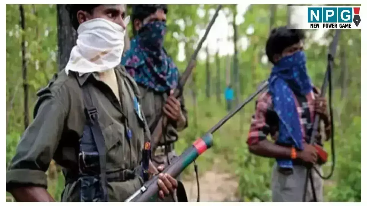 CG Naxalite News: बीजापुर में नक्सलियों की बड़ी... ... CG Top News 29 August: छत्तीसगढ़ की टॉप ताज़ा खबरें, राजनीति से अपराध तक, पढ़ें छत्तीसगढ़ की हर बड़ी अपडेट