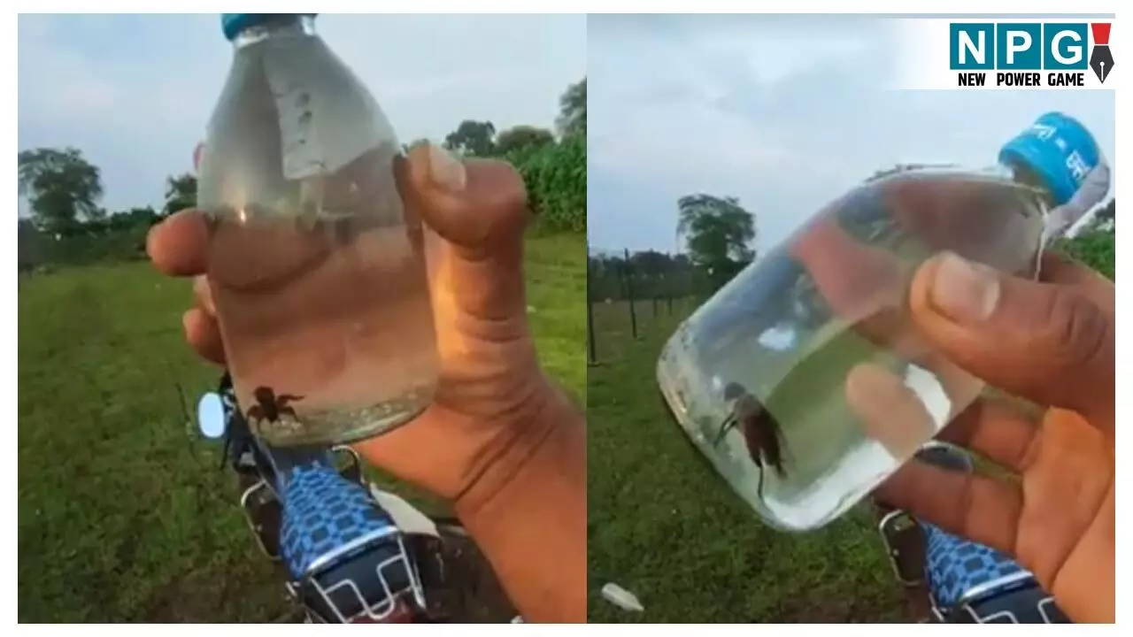 Khairagarh Liquor News