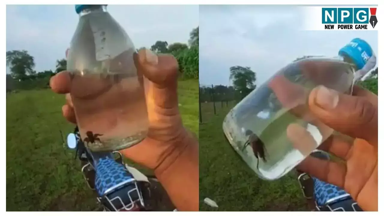 CG Viral News: सरकारी देशी शराब की गुणवत्ता पर फिर... ... CG Top News 01 September: छत्तीसगढ़ की टॉप न्यूज़, शिक्षा, नौकरशाही से राजनीति तक, पढ़ें छत्तीसगढ़ की हर बड़ी खबर CG No. 1 न्यूज़ पोर्टल NPG न्यूज़ पर