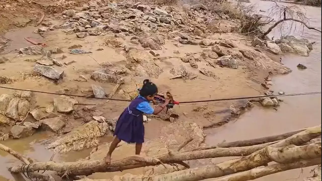 Bastar Flood  : क्योंकि पढ़ना भी तो जरूरी है...जोखिमों भरा स्कूल का सफर, सीढ़ी और केबल तार से स्कूल पहुँच रहे बच्चे