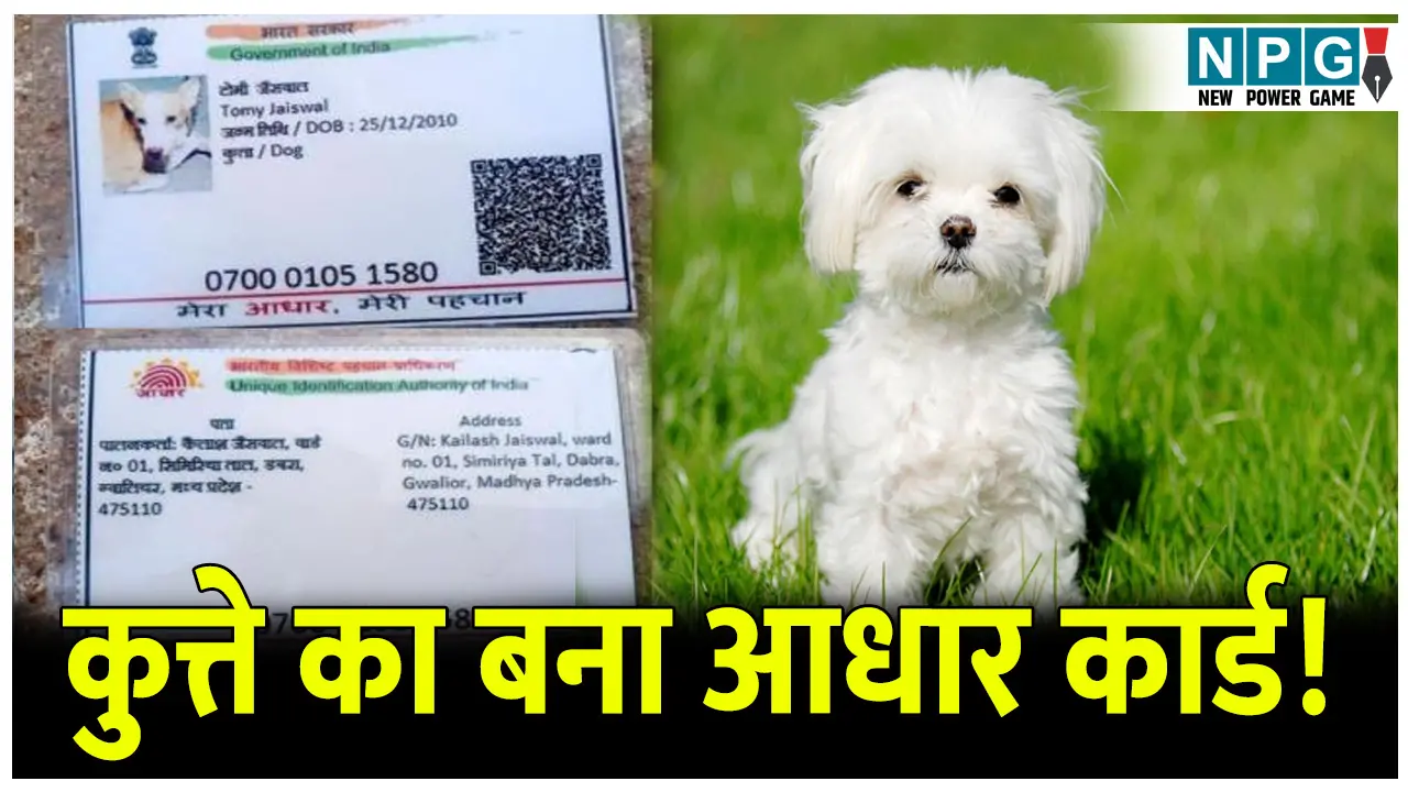 MP News: कुत्ते का आधार कार्ड, नाम और पता देखकर आप भी रह जाएंगे हैरान, जानिए क्या है पूरा ममाला