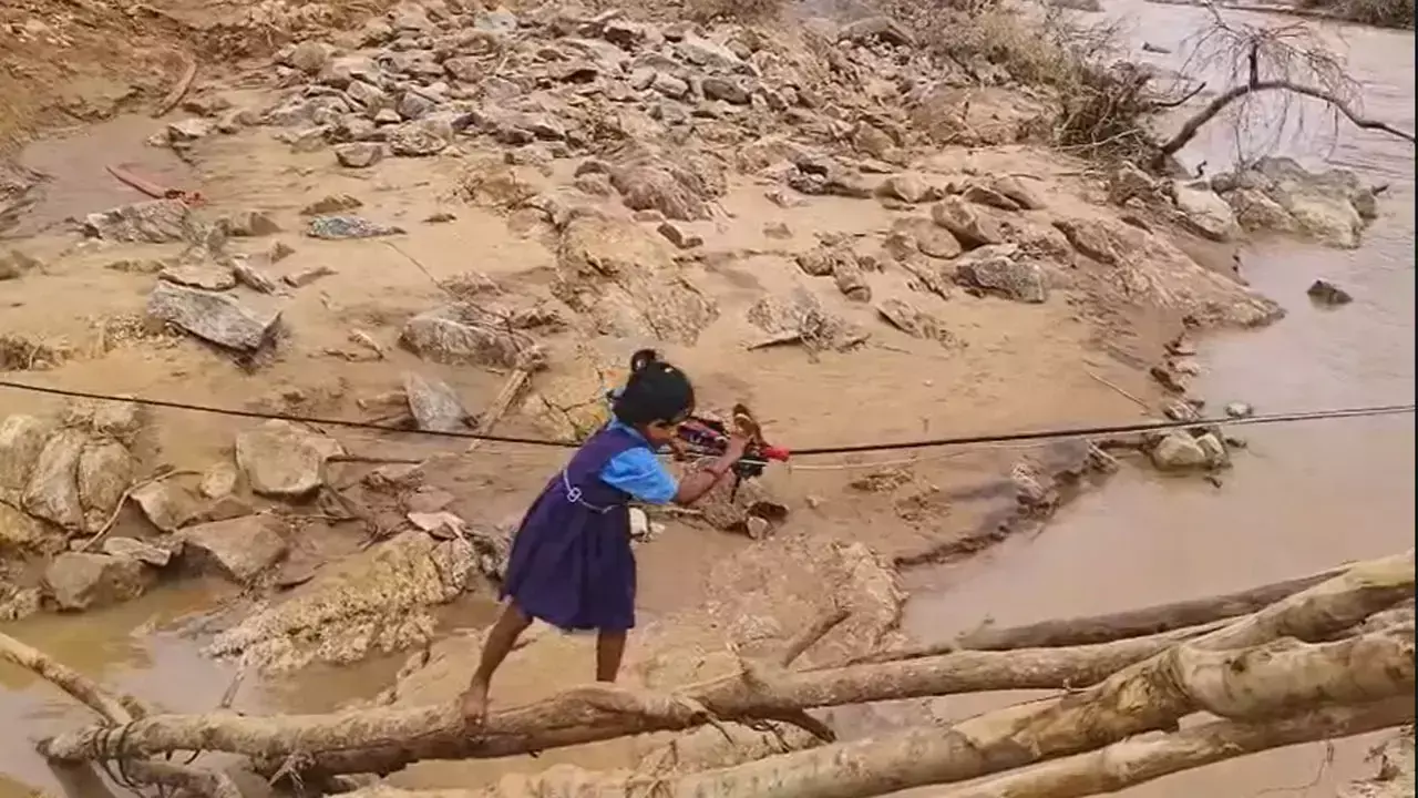 Bastar Flood  : क्योंकि पढ़ना भी तो जरूरी है...जोखिमों भरा स्कूल का सफर, सीढ़ी और केबल तार से स्कूल पहुँच रहे बच्चे