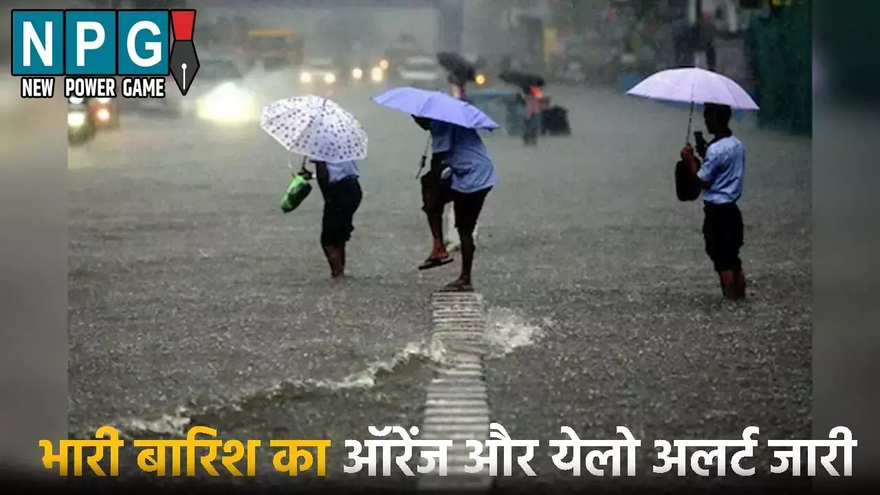 CG Me Aaj Ka Mausam: बारिश का दौर जारी: बाढ़ की... ... CG Top News 02 September: छत्तीसगढ़ की टॉप न्यूज़, शिक्षा, नौकरशाही से राजनीति तक, पढ़ें छत्तीसगढ़ की हर बड़ी खबर CG No. 1 न्यूज़ पोर्टल NPG न्यूज़ पर
