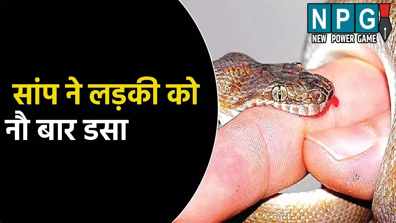Kaushambi Kobra News: डर के साए में परिवार! सांप ने लड़की को 24 घंटे में 3 और 40 दिन में 9 बार डसा, पूरा मामला जानकर आप भी हो जाएंगे हैरान