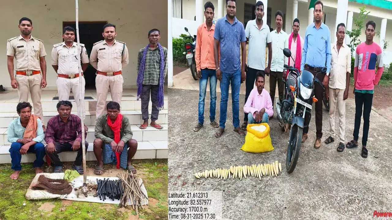 Balodabazar News: तीन शिकारी गिरफ्तार, वन विभाग की बड़ी कार्रवाई...