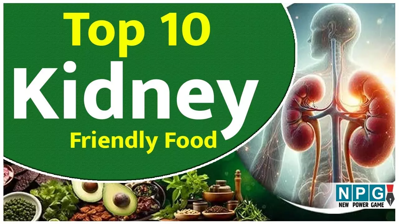 Top 10 Kidney Friendly Food: ये चीज़ें कीजिए खानपान में शामिल, स्वस्थ रहेगी किडनी... Top 10 Kidney Friendly Food: ये चीज़ें कीजिए खानपान में शामिल, स्वस्थ रहेगी किडनी...
