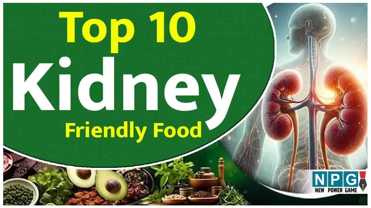 Top 10 Kidney Friendly Food: ये चीज़ें कीजिए खानपान में शामिल, स्वस्थ रहेगी किडनी...