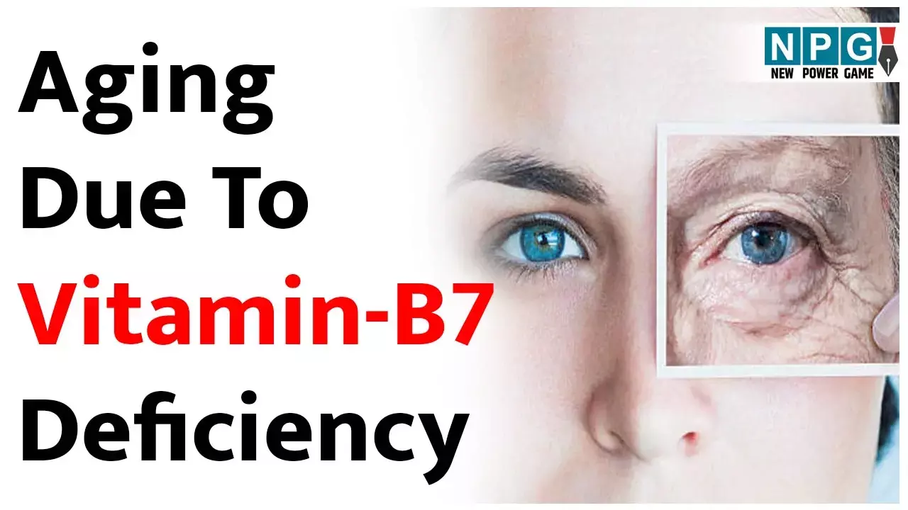 Aging Due To Vitamin B7 Deficiency: झड़ते बाल, लटकती स्किन देख सताने लगा बुढ़ापे का खौफ? विटामिन बी 7 की कमी है असली दुश्मन, जाने सही डाइट...