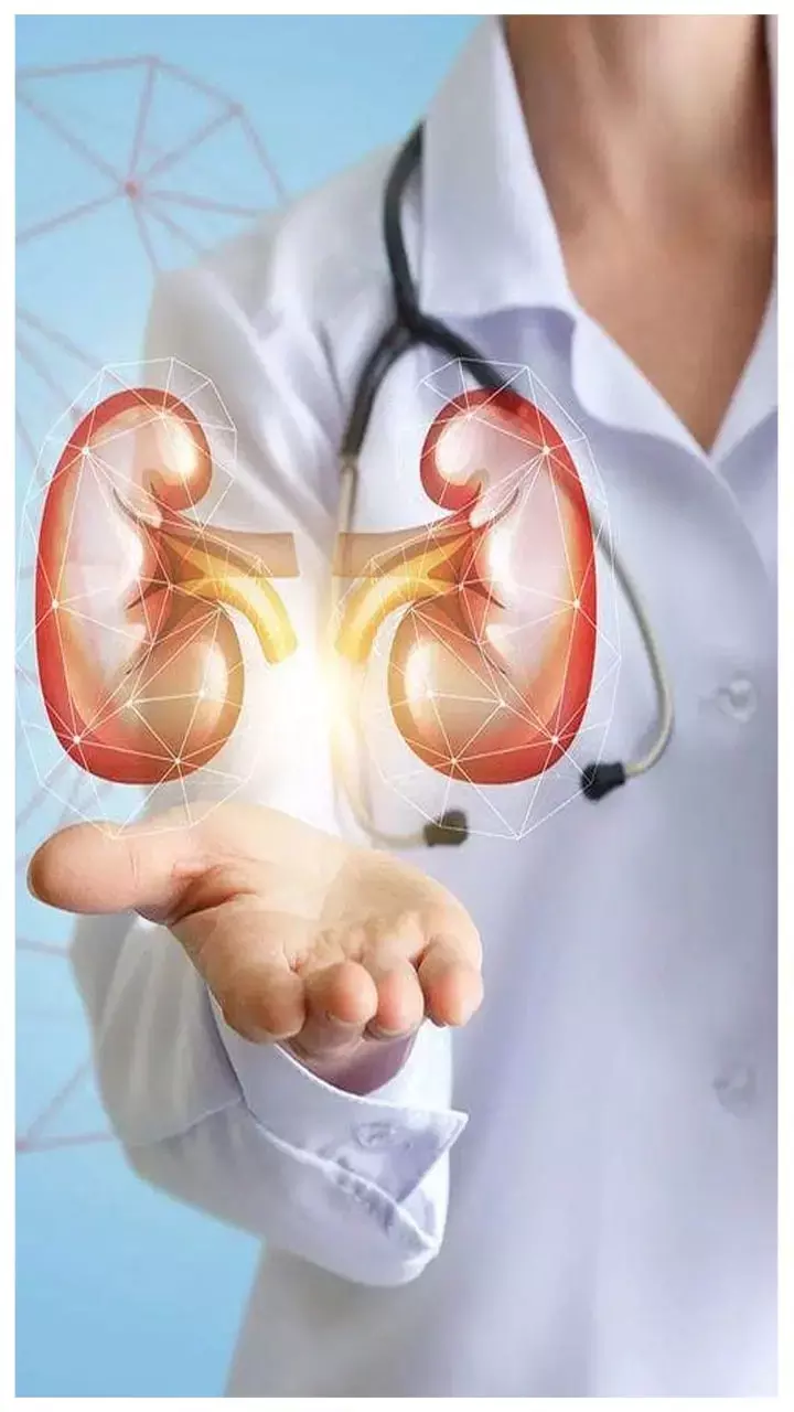 Healthy Kidney in Top 10 Food: अपने किडनी को हेल्दी बनाने के लिए खाए ये 10 पावरफुल चीज, जानिए...