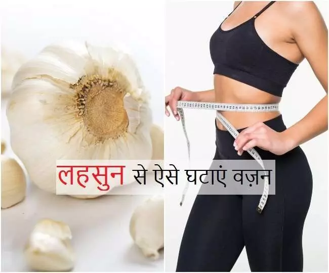how garlic helps in weight loss : लहसुन करेगा वेट लॉस, कैसे वो यहाँ जानिए