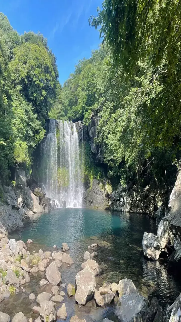 Chhattisgarh Top Tourist Places: मानसून ट्रिप के लिए परफेक्ट है छत्तीसगढ़ के ये हिडन वॉटरफॉल, आप भी जरूर घूमने जाएं
