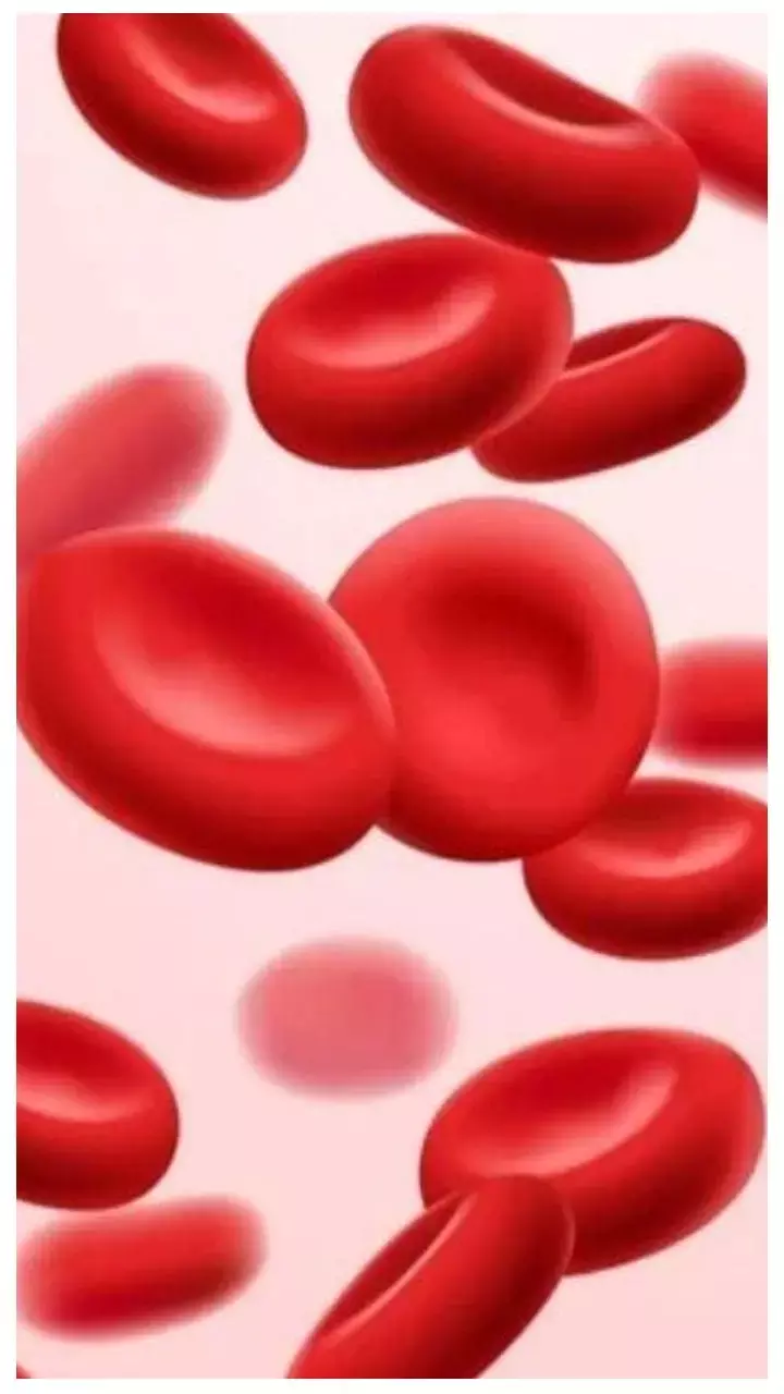 Iron Rich Food Benefits: खून की कमी से जूझ रही महिलाओं के लिए सस्ते आयरन रिच फूड, जानिए इसके फायदे...