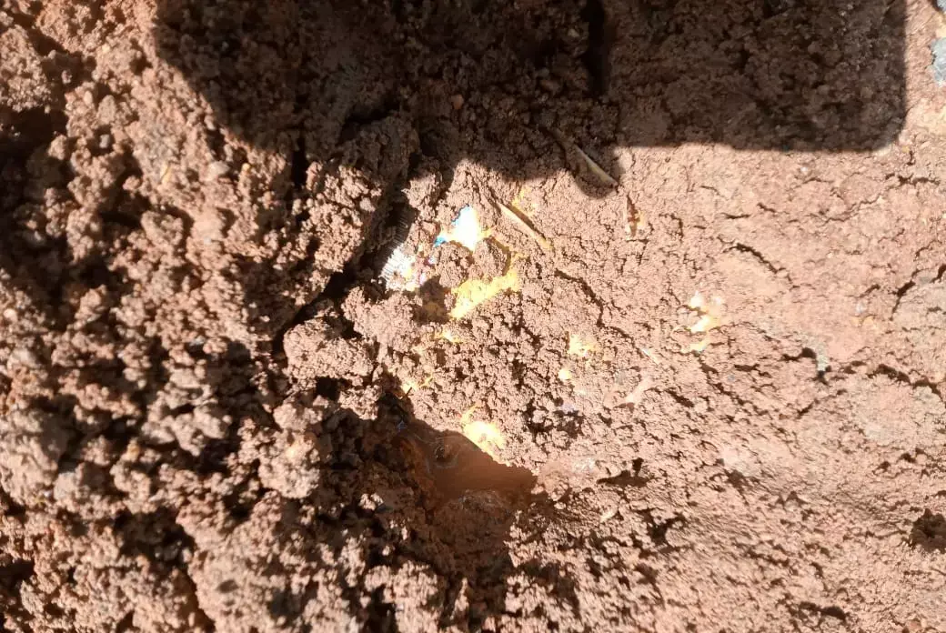 Bijapur News : जवानों को निशाना बनाने कायर नक्सलियों ने की थी साजिश... सुरक्षा बलों ने किया नाकाम,10 किलो का आईईडी बरामद