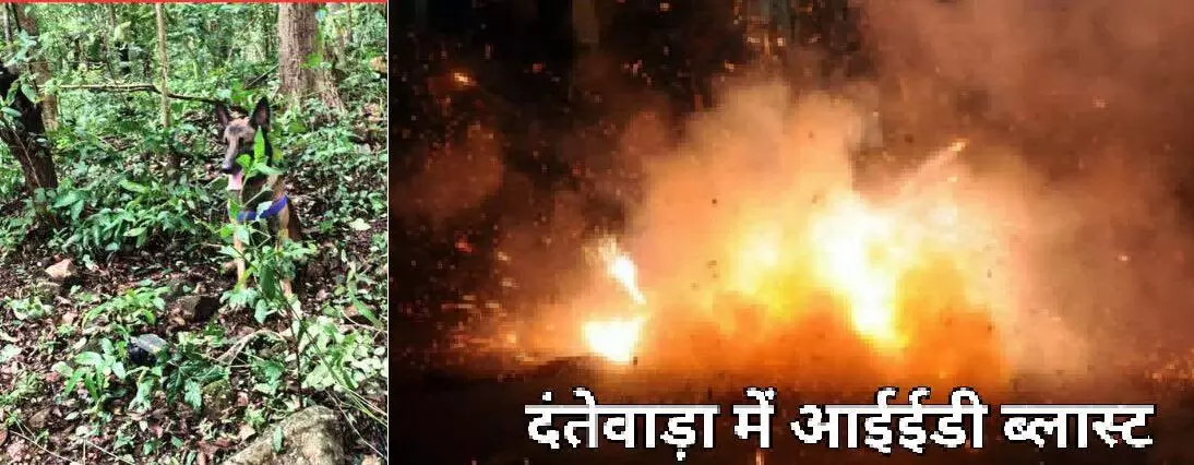 Dantewada IED Blast : प्रेशर आईईडी की चपेट में आने से दो जवान घायल, हालत गंभीर Dantewada IED Blast : प्रेशर आईईडी की चपेट में आने से दो जवान घायल, हालत गंभीर
